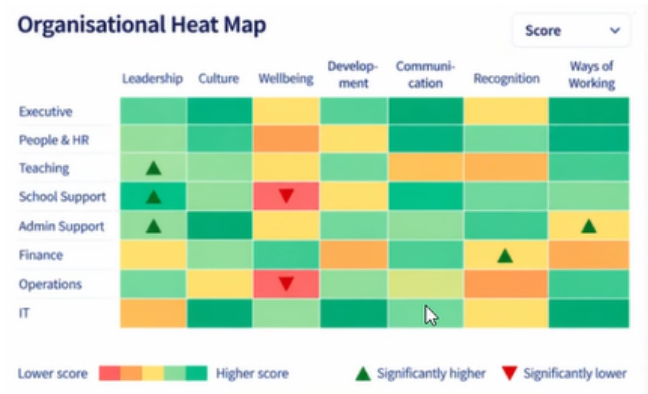 Organisational Heat Map